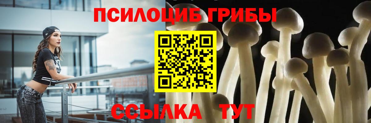 Галлюциногенные грибы MAGIC MUSHROOMS  Вход с VPN  Зерноград  Галлюциногенные грибы прущие грибы 